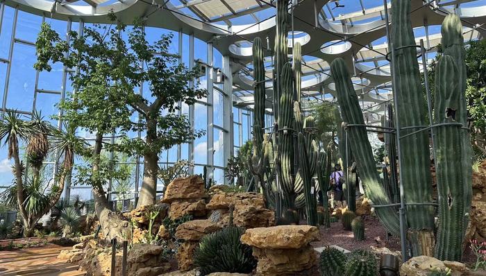 上海，温室花园，公园，世博