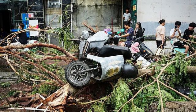 最强秋台风“摩羯”造成多地受灾，保险闻“风”而来