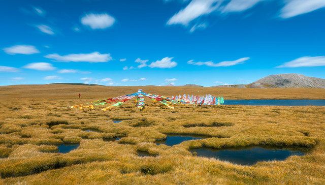 【观察】国家公园法草案首次审议，如何引导社会公众参与和共享保护成果？