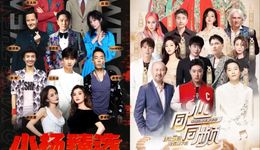 小楊哥VS辛巴，下坡路上，無問一哥