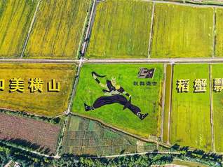 榆林横山农田变良田 现代农业展新颜