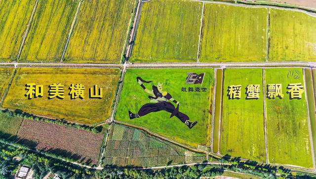 榆林横山农田变良田 现代农业展新颜