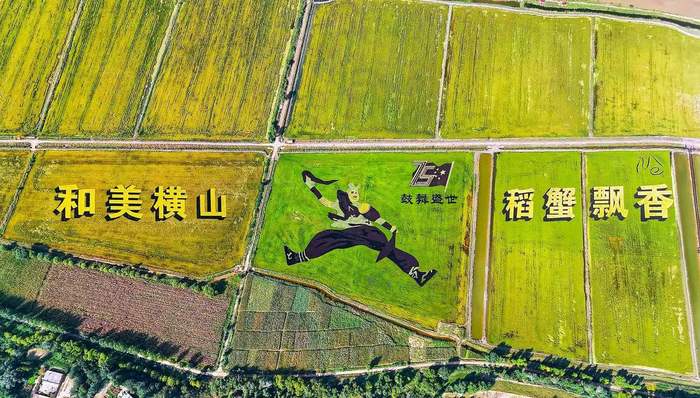 榆林横山农田变良田 现代农业展新颜