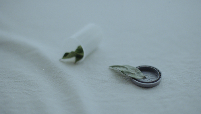 文学,新书,残障权利