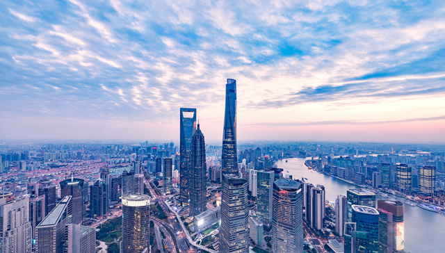 上海，大科学装置，市长咨询会