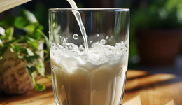 IPO屡挫屡战，菊乐股份欲叩北交所大门