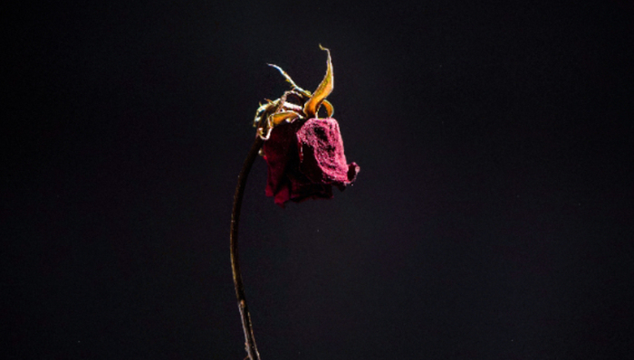 高管,科达制造,A股,