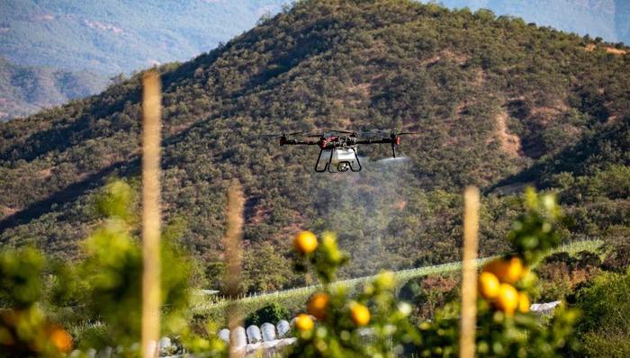 无人机,科技,农业,广州