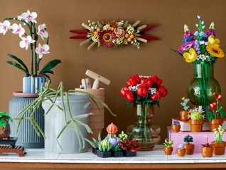 从积木到玩偶，大人们为什么更爱买玩具？