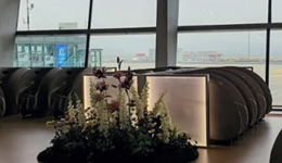 这个假期，多少人被共享按摩椅“殴打”？