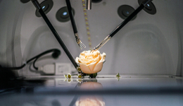 達(dá)芬奇中國(guó)市場(chǎng)價(jià)格跳水裝機(jī)量下降，手術(shù)機(jī)器人新變局