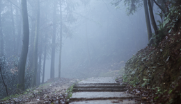 网红博主盯上哀牢山？“泼天富贵”成烫手山芋