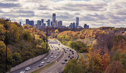 80%都被桐鄉(xiāng)人承包，高速公路上的“隱秘生意”，年產(chǎn)值280億