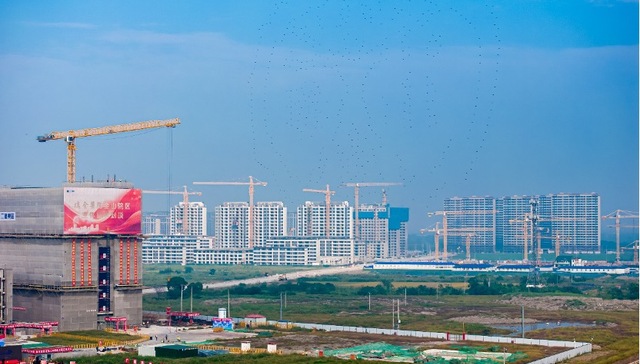 瑞金医院，上海远郊地区，五个新城，医疗资源下沉