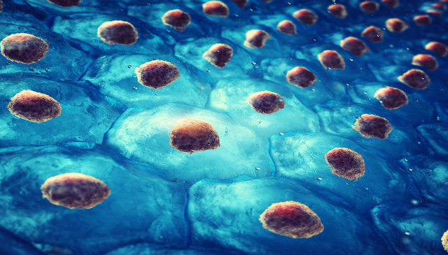 IPO雷达｜泽辉生物赴港上市：尚无营业收入，研究面临伦理挑战