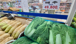 百元一斤，中國(guó)白菜拿下韓國(guó)人