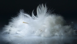 为波司登、海澜之家供应羽绒，古麒绒材上市之路迷雾重重