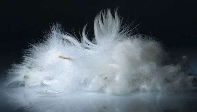 羽绒制品,古麒绒材,IPO,