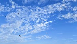 現(xiàn)在的年輕人，假期旅游都去了哪些地方？