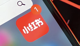 被大廠“模仿”，小紅書的成長必修課