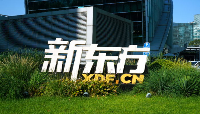 新东方,教育,财报