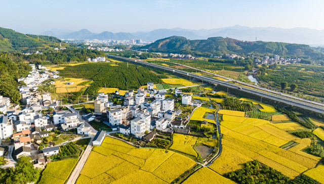 县域人才政策观察①|县域城市更“爱才”吗？