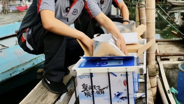 京东,顺丰,电商