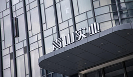 即將投產(chǎn)，青山集團(tuán)卻50億賣掉了阿根廷鋰鹽項(xiàng)目全部股權(quán)