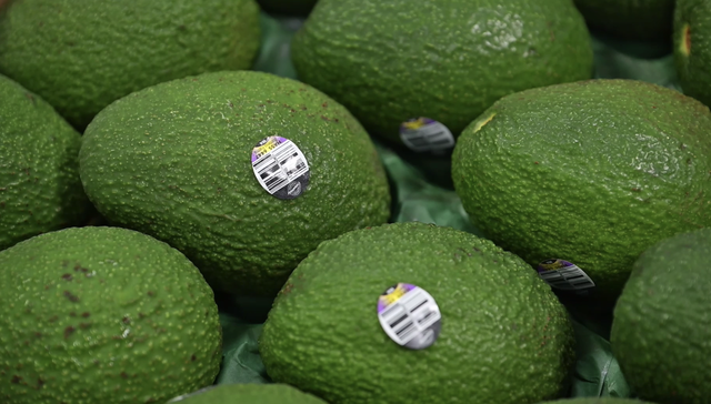 上海，进博会，海关，进口，牛油果