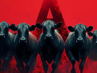 本周一只新股可申购：聚星科技将亮相北交所，供应商集中度较高