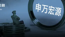 申万宏源孙公司摊上事了