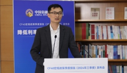 张斌：降低政策利率是阻断需求不足的必要条件