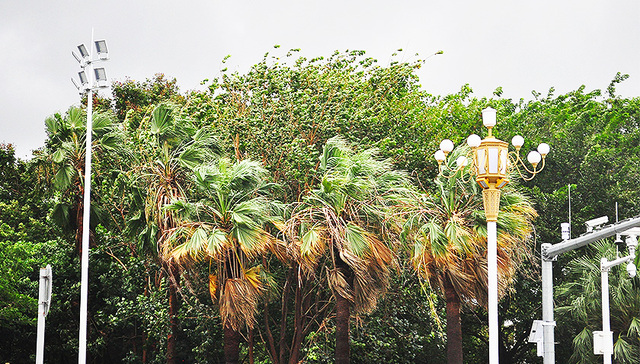 地方新闻精选丨海南省已累计转移危险区域人员2.9万人 澳门破获历来最大冰毒案