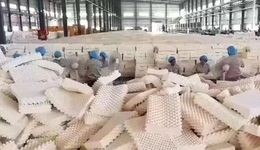 爆火的“泰國(guó)乳膠”，暗藏多少套路？