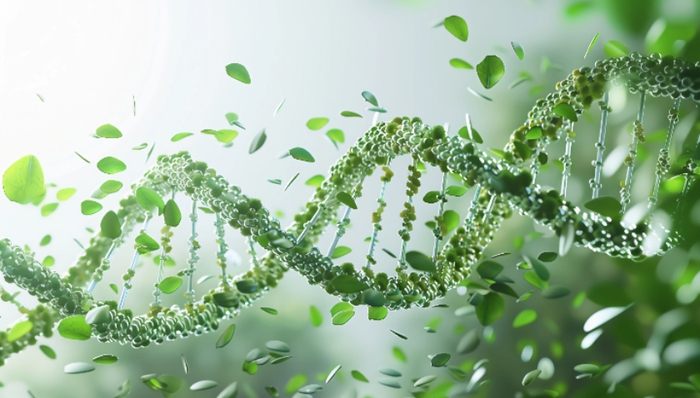 如何借助端粒抗衰？