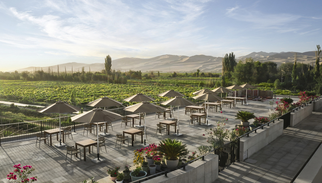 【旅行圆桌】新生力崛起，本土酒店未来如何破局？