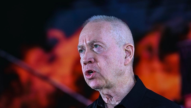 以色列,加兰特,加沙,内塔尼亚胡