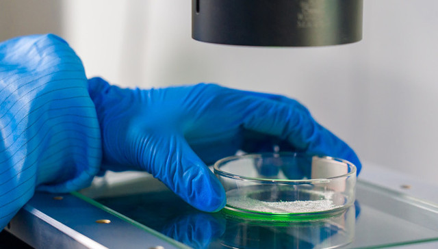 Global leaders in materials showcase innovation at CIIE, driving growth through strategic partnerships