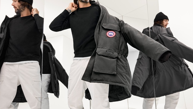 加拿大鹅只在中国风景独好