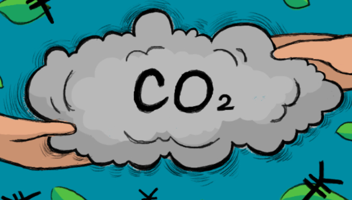 历经近十年谈判，全球碳市场正式启动