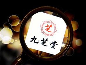 九芝堂,医药,投资