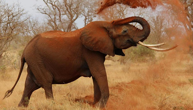 娱乐,互联网,综艺