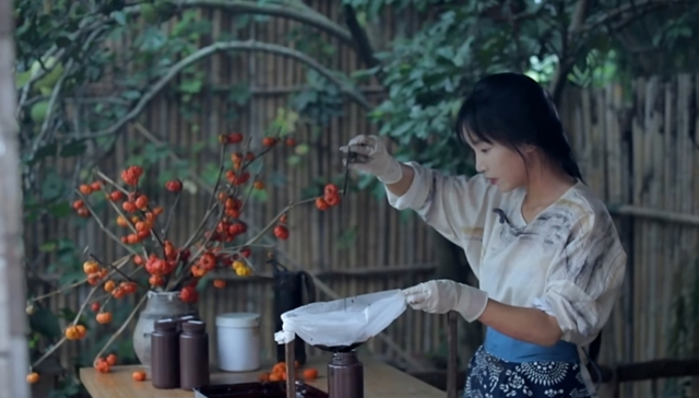 流量,李子柒,直播带货,