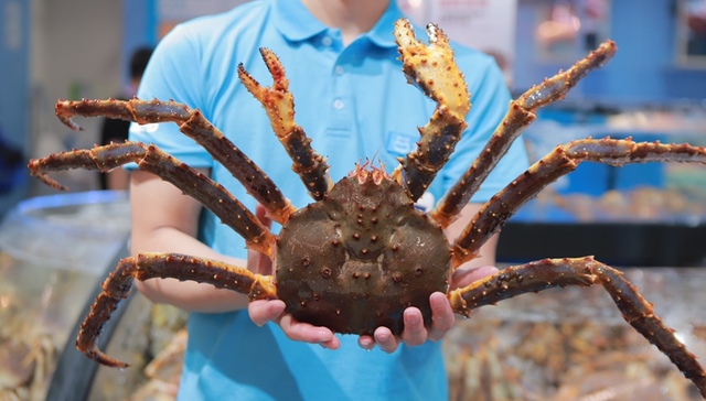 帝王蟹从进博会“网红“变家常菜之后，下一个爆款会是什么？