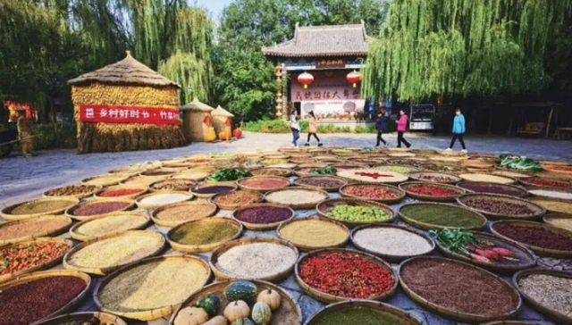 《金融时报》｜金融报国践初心 砥砺前行谱华章 邮储银行塑造发展新优势为金融强国建设贡献力量