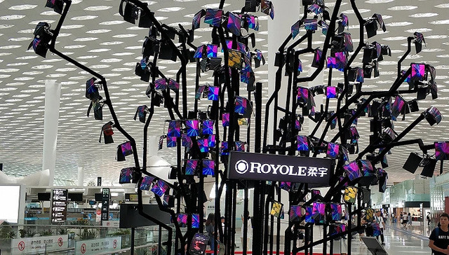 柔宇科技；破产