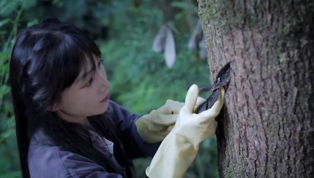流量,内容创作,短视频,