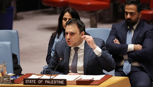 以色列,加沙,美国,巴勒斯坦