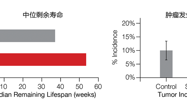 从“格列宁”到瑞拓龄、司美格鲁肽 原研药究竟价值几何？