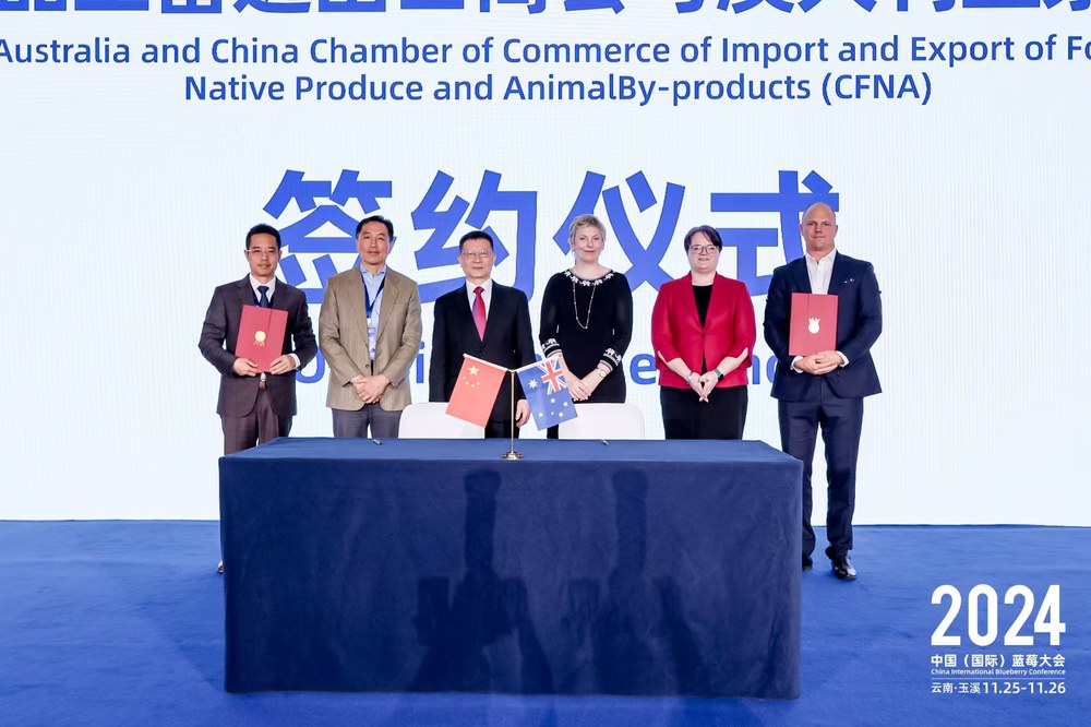 A group of people standing on a stageDescription automatically generated